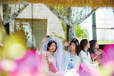 财新网 以花为媒绘乡村画卷