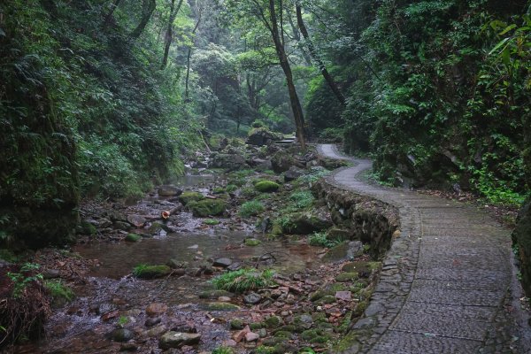 长江配资 秋天来了，周末一起徒步吧！浙江这6条绝美古道值得一去，出发